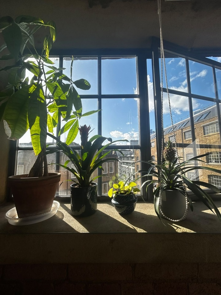 Room in a Shared Flat, Wool House, E1 photo 5