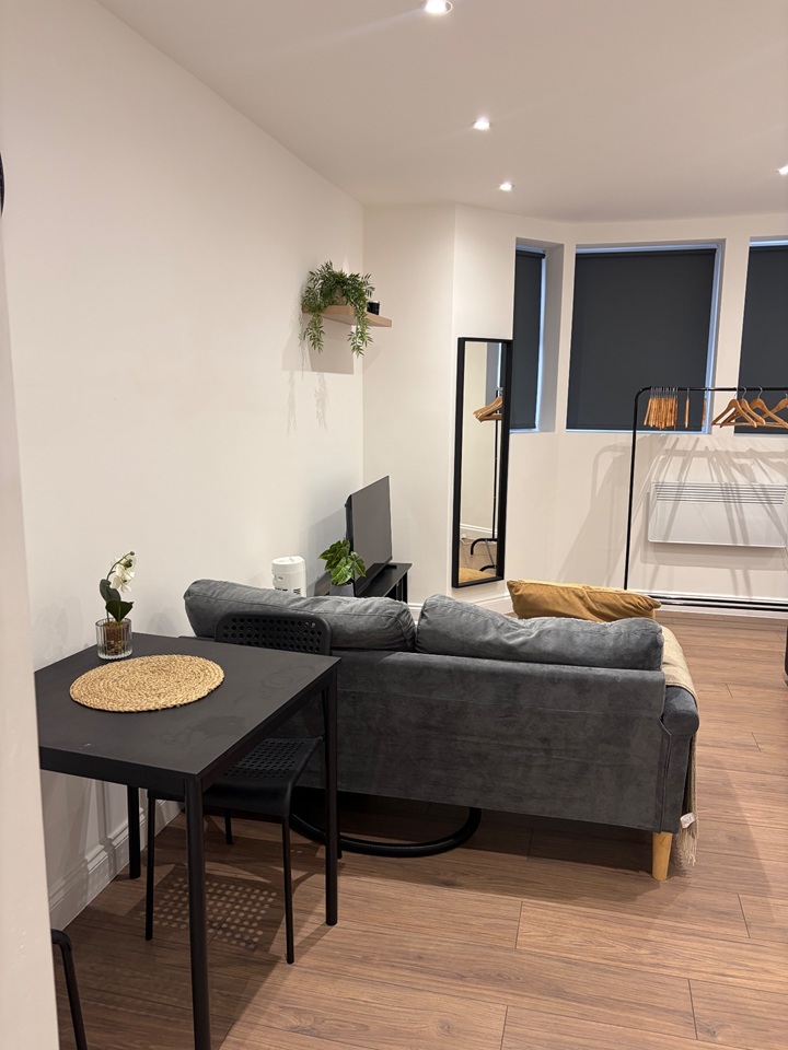 Studio Flat, Kingsland Road, E8 photo 4