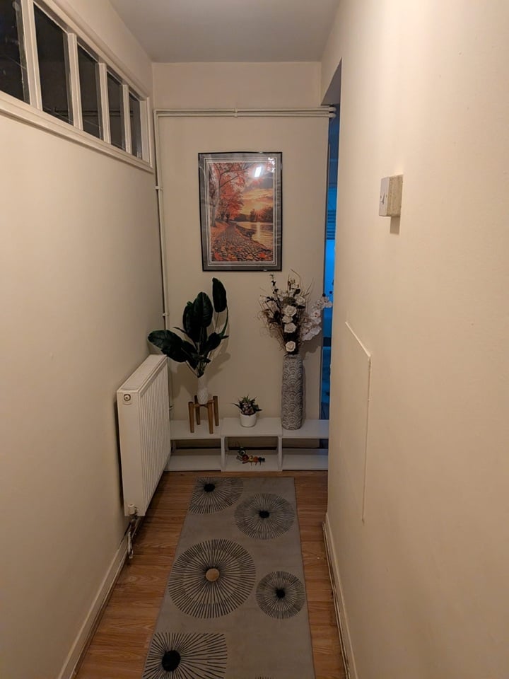 Room in a Shared Flat, White House, SW4 photo 3