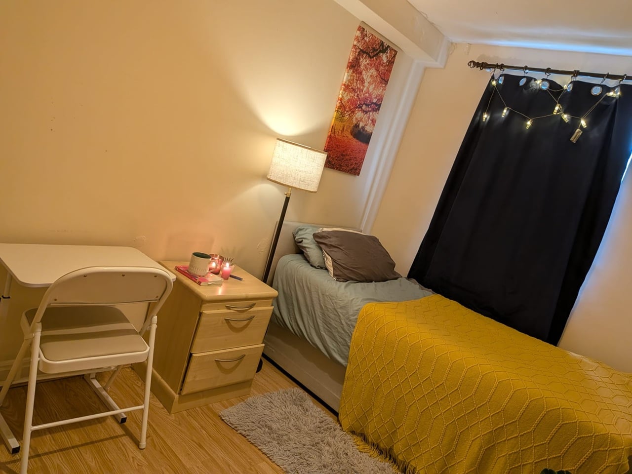 Room in a Shared Flat, White House, SW4 photo 2