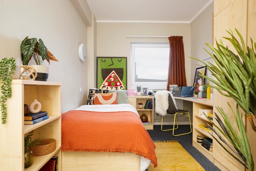 Room in a Shared Flat, Jennens Road, B4