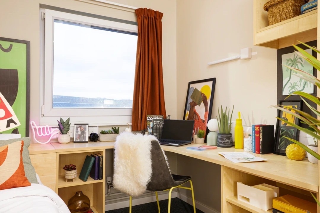 Room in a Shared Flat, Jennens Road, B4 photo 2