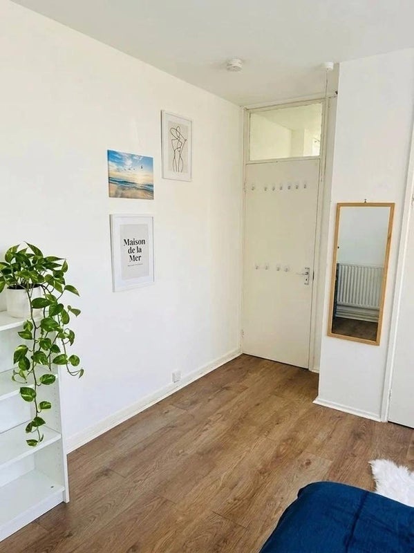 Room in a Shared Flat, Marylands Road, W9