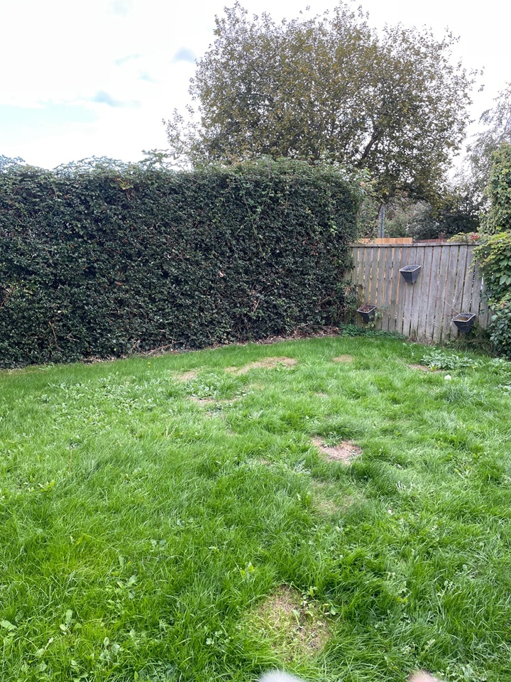 1 Bed Maisonette, Rumney, CF3 photo 4