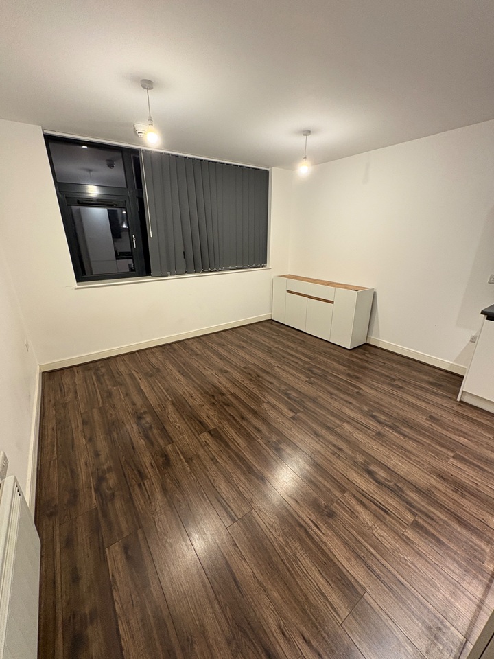 Studio Flat, Fabrick Square, B12 photo 3