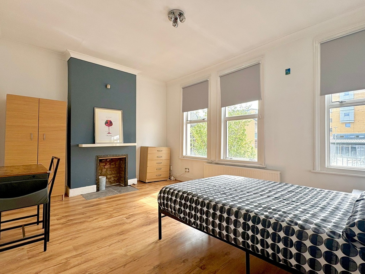 Room in a Shared Flat, De Morgan Road, SW6 photo 3
