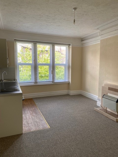 Studio Flat, Manor Park, BS6 photo 5