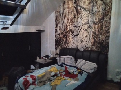 Room in a Shared House, Albert Road, B33