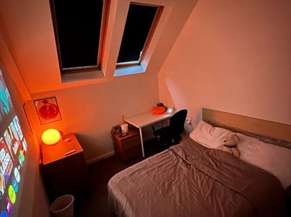 Room in a Shared Flat, Brown St, DD1