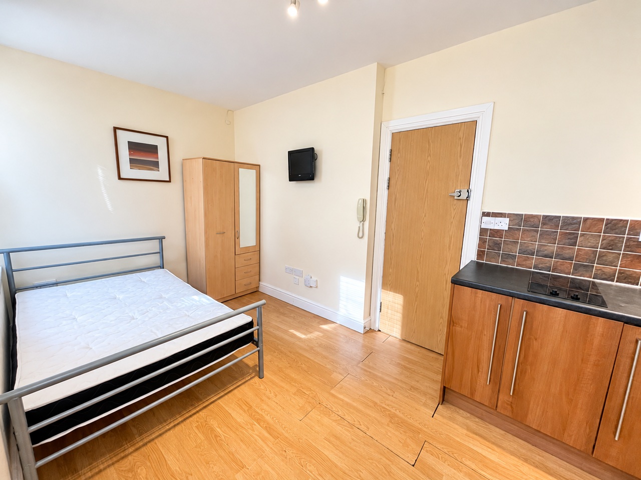Studio Flat, Richmond Road, CF24 photo 4