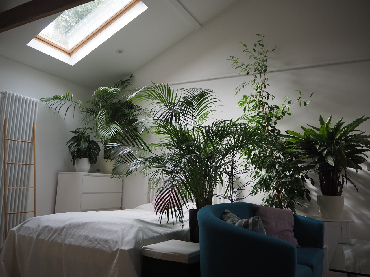 Studio Flat, Impington, CB24 photo 4