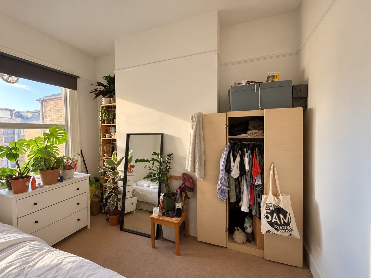Room in a Shared Flat, Solon Road, SW2 photo 2