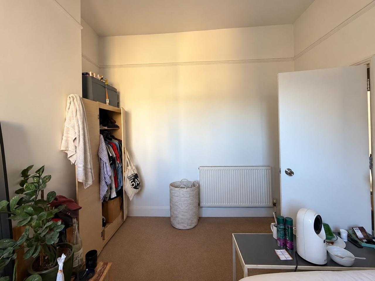 Room in a Shared Flat, Solon Road, SW2 photo 3