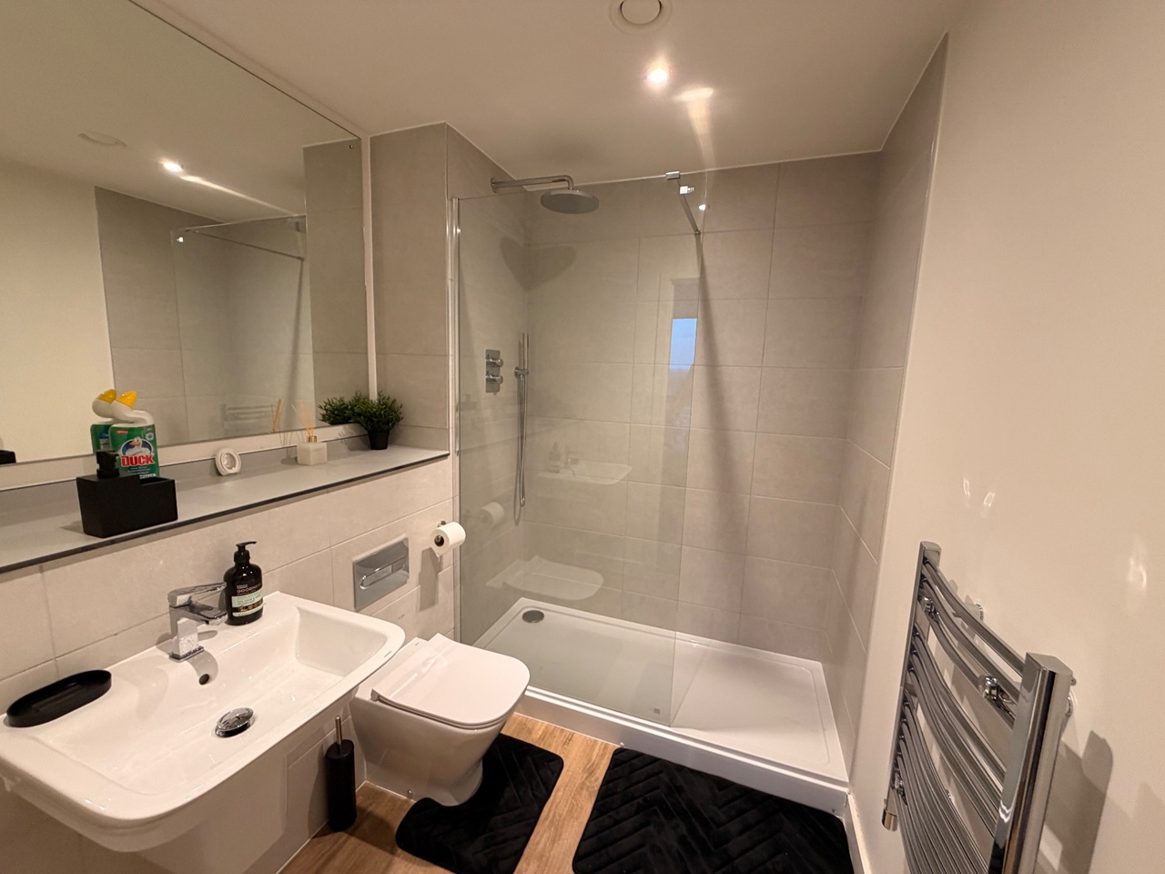 2 Bed Flat, Essex St, B5 photo 4