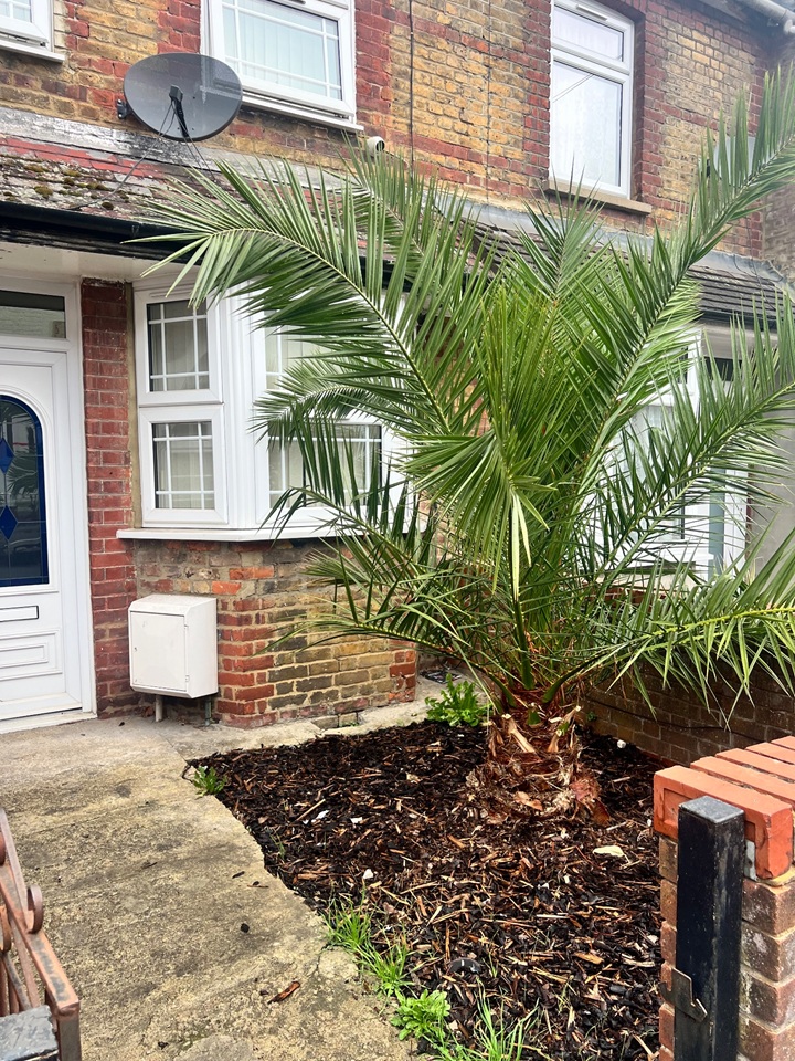 High Wycombe - 3 Bed Terraced House, Oakridge Road, HP11 - To Rent Now ...