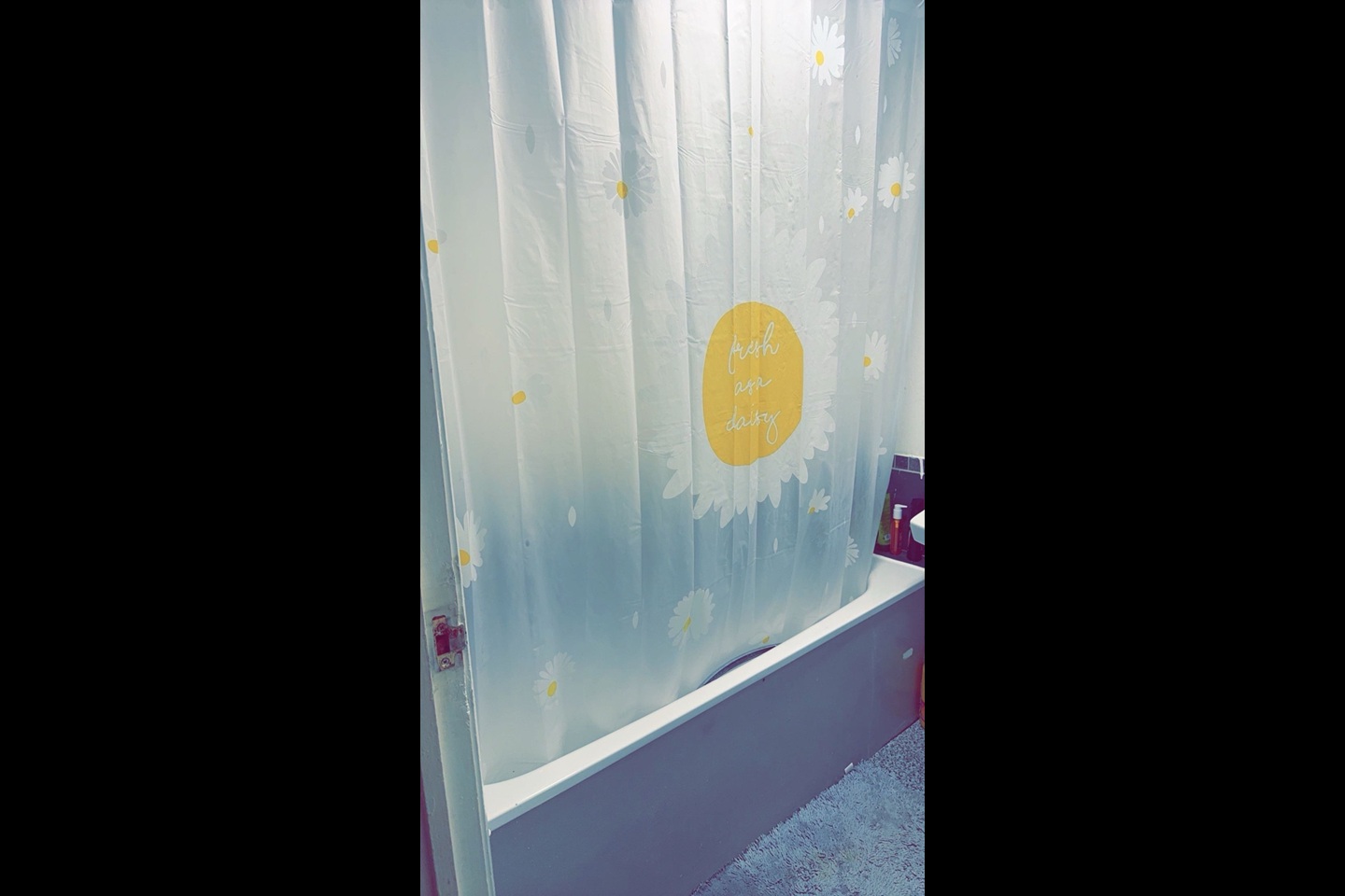 Additional image 2 of Room in a Shared House, Jewitt Road, S61, N1 7GU