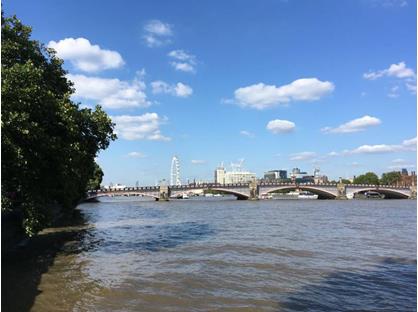 Room in a Shared Flat, Page Street, SW1P
