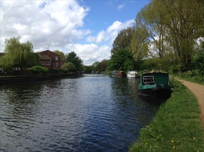 Room in a Shared House, Edwins Mead, E9