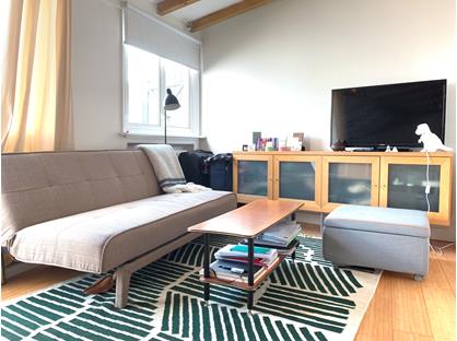 Studio Flat, Danbury Street, N1