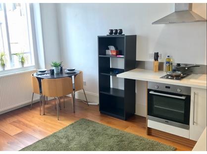 Studio Flat, Pimlico, SW1V