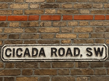 4 Bed Terraced House, London, SW18