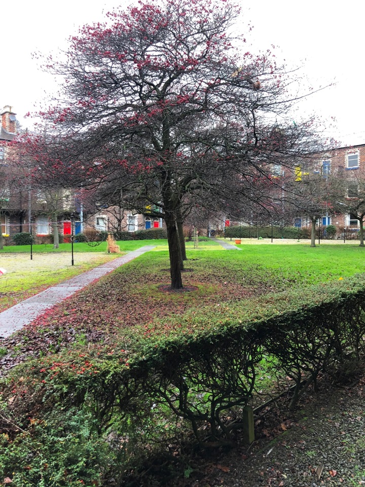 Edinburgh 1 Bed Flat, Rosemount Buildings, EH3 To Rent Now for £995