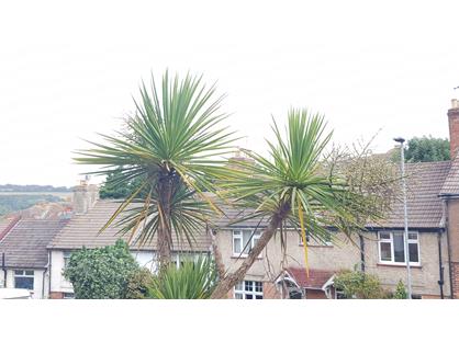 4 Bed Terraced House, Coombe Rd, BN2