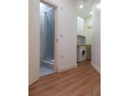 Studio Flat, Egerton Road, N16