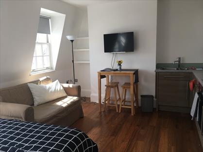 Studio Flat, Winchester Street, SW1V
