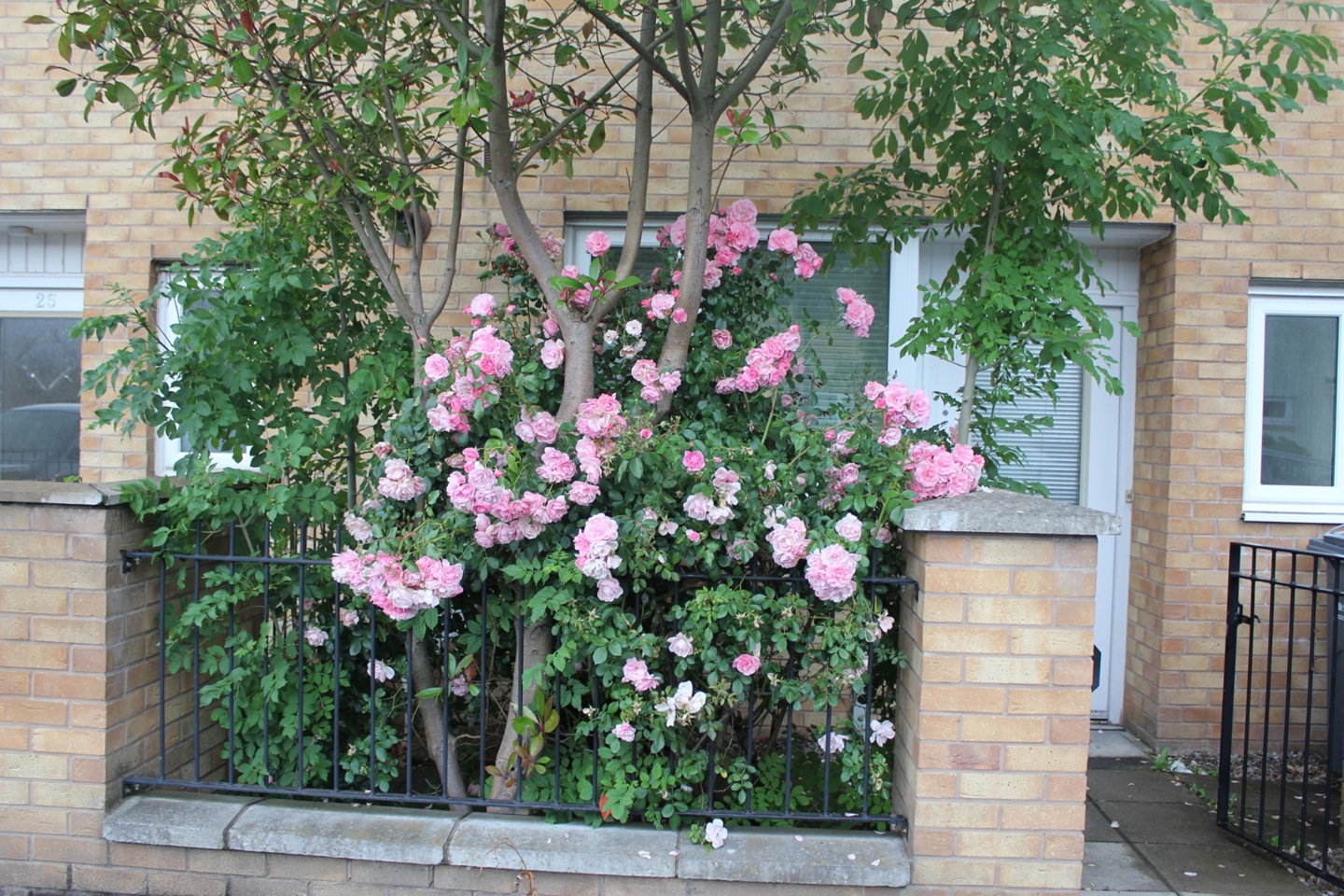 Manchester 3 Bed Terraced House, Tarleton Street, M13 To Rent Now for £1,550.00 p/m