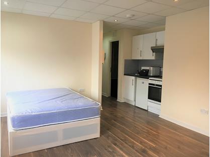 Studio Flat, Cranbrook House, SE20