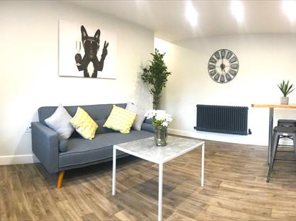 Room in a Shared Flat, Lester Hall, LU1
