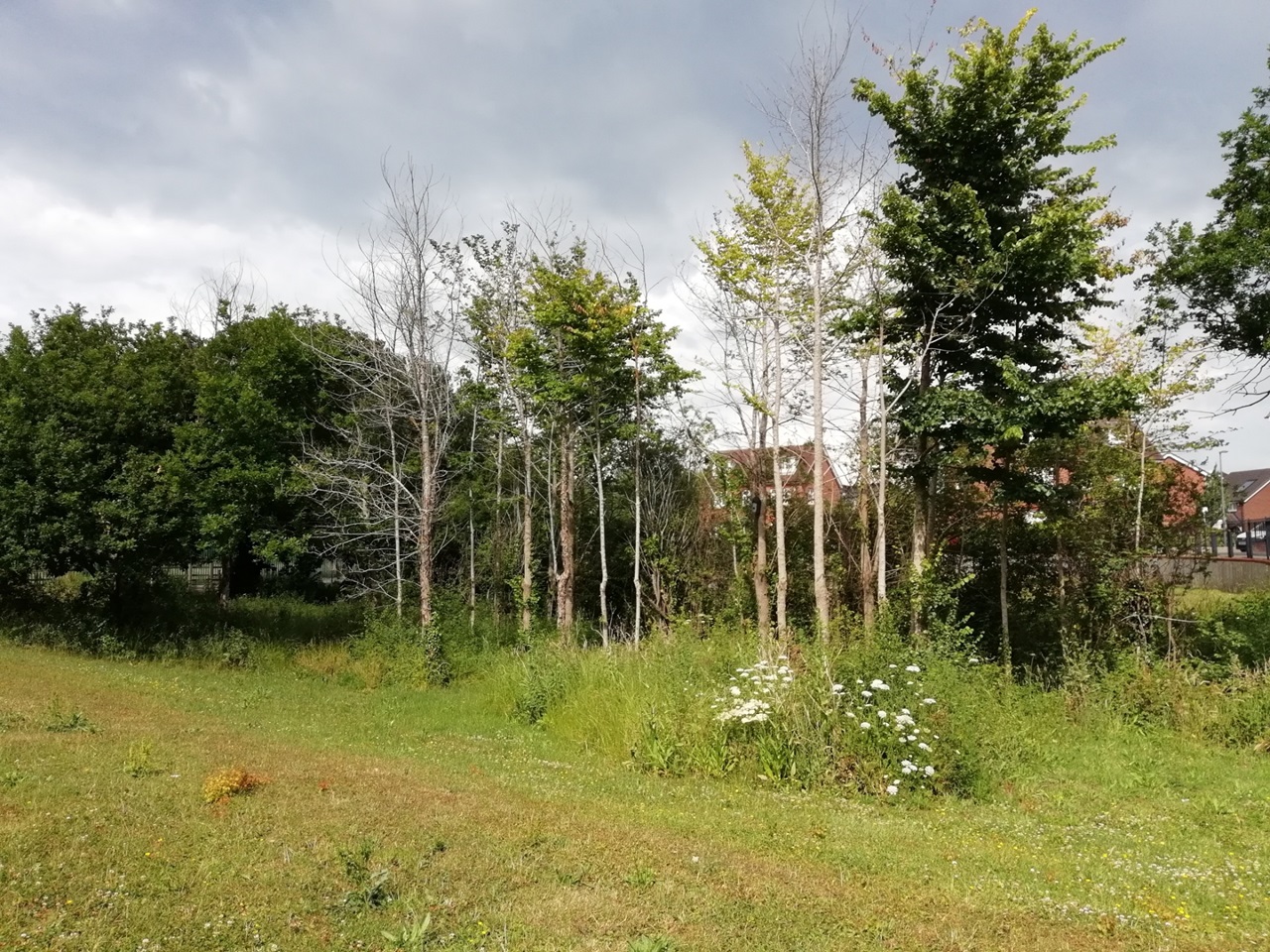 Additional image 13 of 3 Bed Flat, Cheswick Village, BS16, N1 7GU