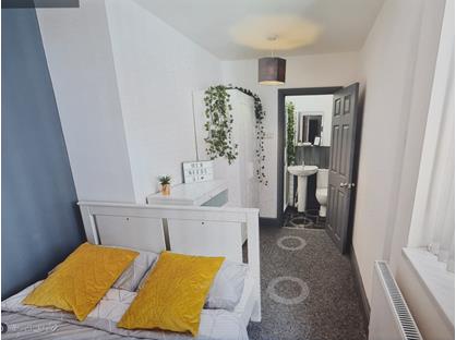 Room in a Shared House, Strawberry Hill, M6