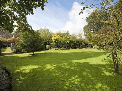 Room in a Shared House, Park Avenue, N22