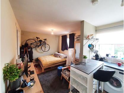 Studio Flat, Room 3, N22