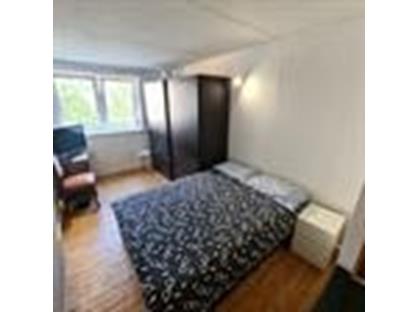 Room in a Shared Flat, Balfour Road, W3