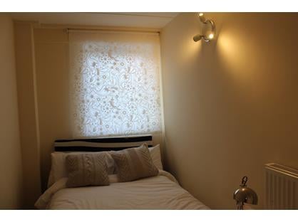 Room in a Shared Flat, Charlotte Despard Avenue, SW11