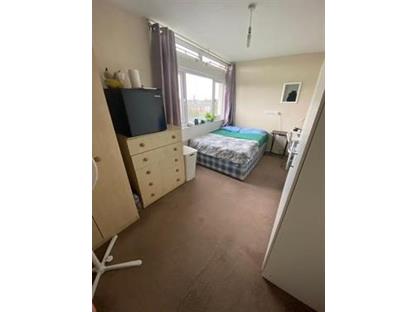 Room in a Shared Flat, Cedars Road, SW4