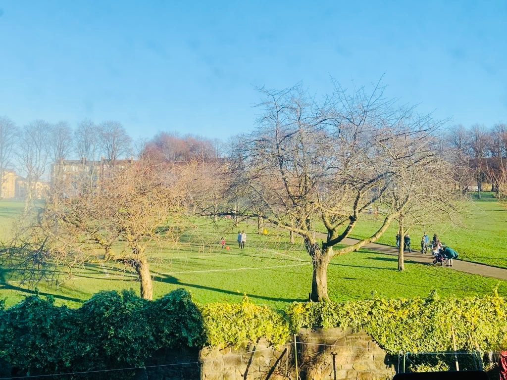 Edinburgh 1 Bed Flat, Ogilvie Terrace, EH11 To Rent Now for £960.00 p/m