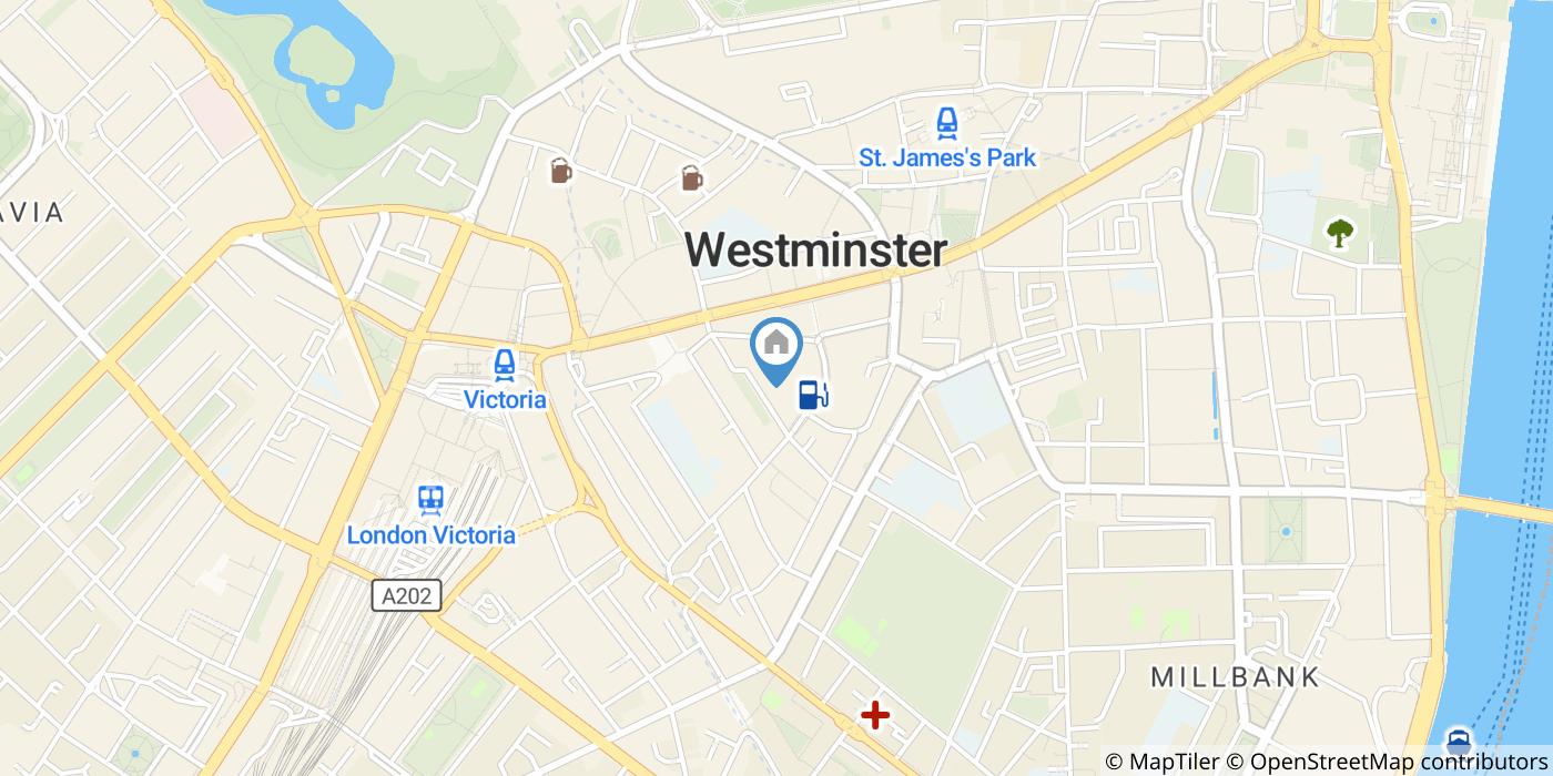 Room in a Shared Flat, Thirleby Road, SW1P