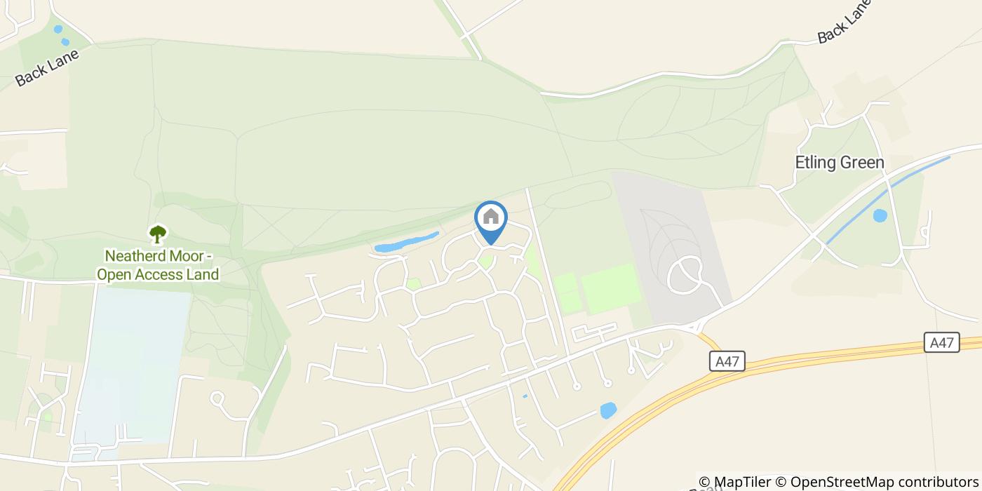 Room in a Shared House, Silver Birch Road, NR20