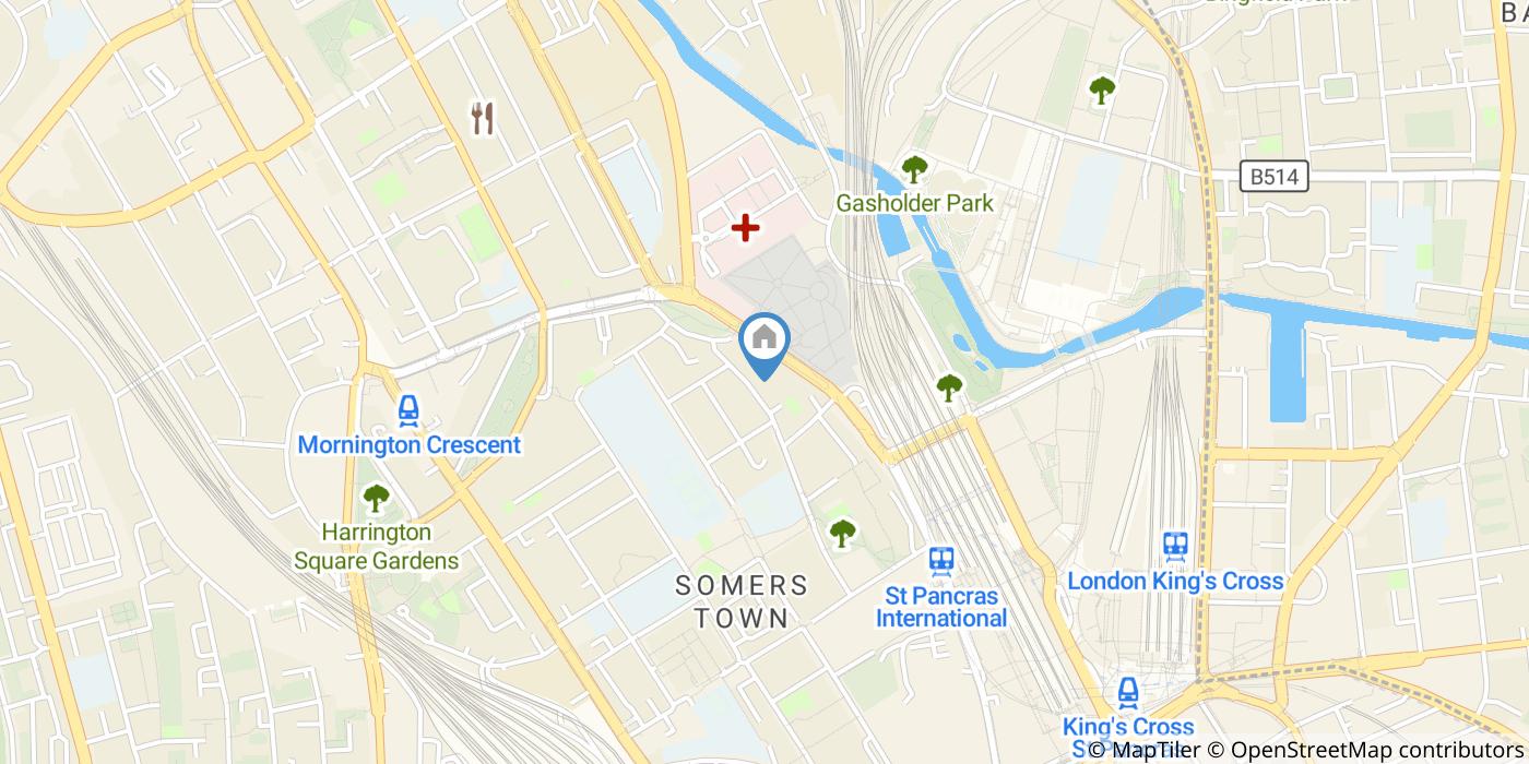 Room in a Shared Flat, The Chenies, NW1