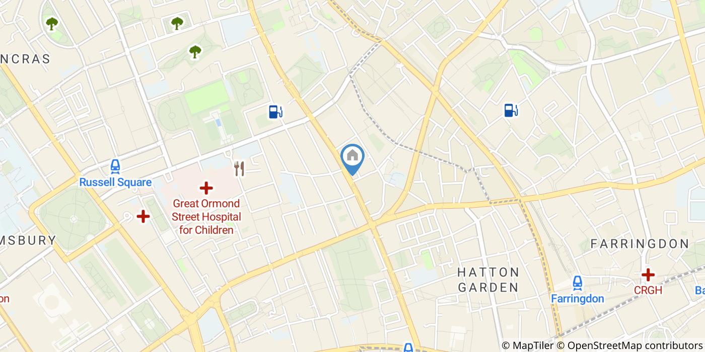 2 Bed Flat, Grays Inn Road, WC1X