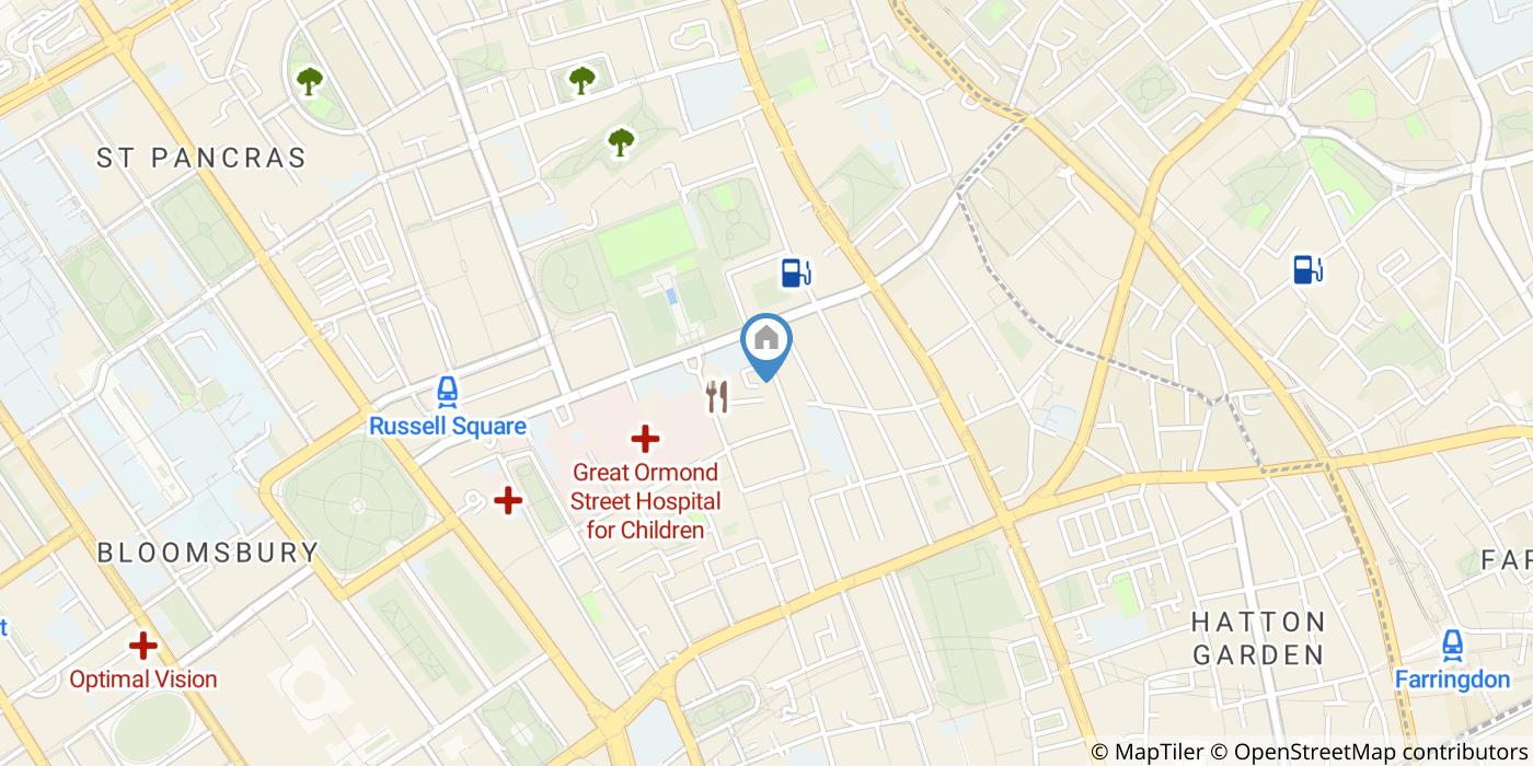 Room in a Shared Flat, London, WC1N