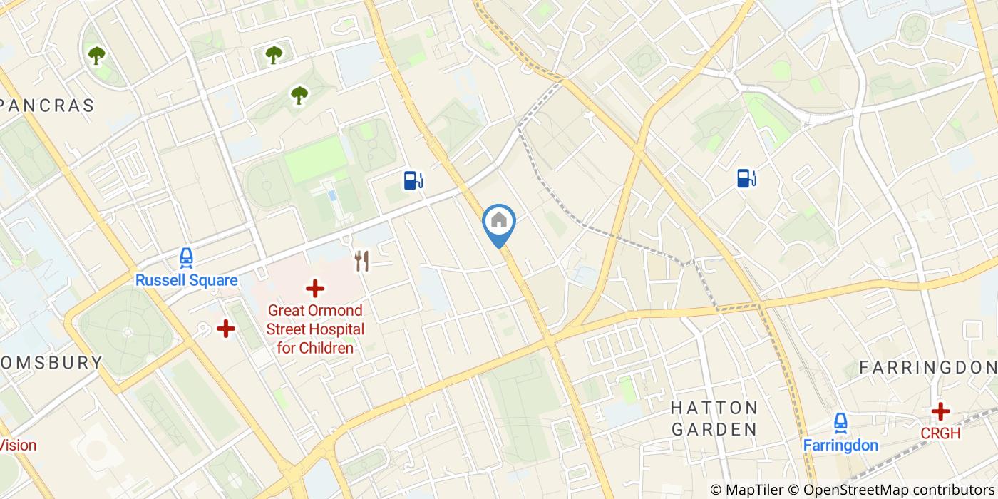 Room in a Shared Flat, Gray's Inn Road, WC1X