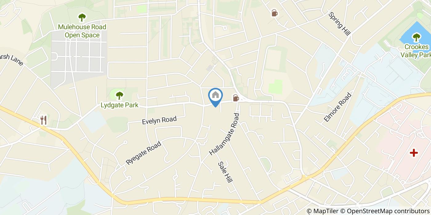 Room in a Shared Flat, Lydgate Lane, S10