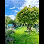 1 Bed Maisonette, Whitehill Road, CB5 photo 3