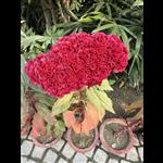 Additional image 17 of Room in a Shared House, Welford Road, LE2, N1 7GU