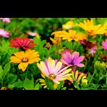 Additional image 9 of 1 Bed Flat, Demontfort University, LE3, N1 7GU